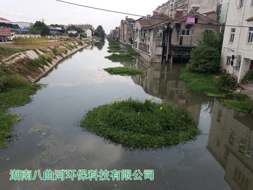 河道生态修复水生花卉浮岛