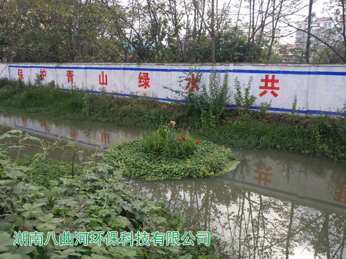 河道生态修复水生花卉浮岛