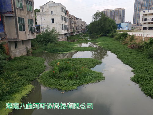 河道生态修复水生花卉浮岛