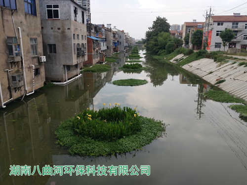 河道生态修复水生花卉浮岛