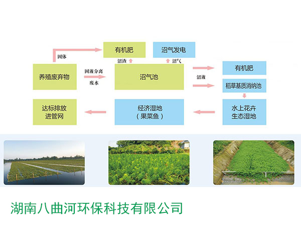 高污染物污水生态治理与资源化利用系统