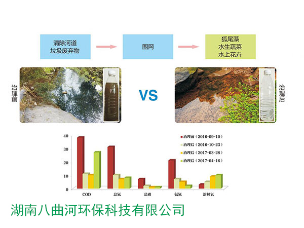 平原河网区河道水污染生态治理