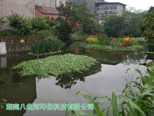 黑臭水河生态修复治理