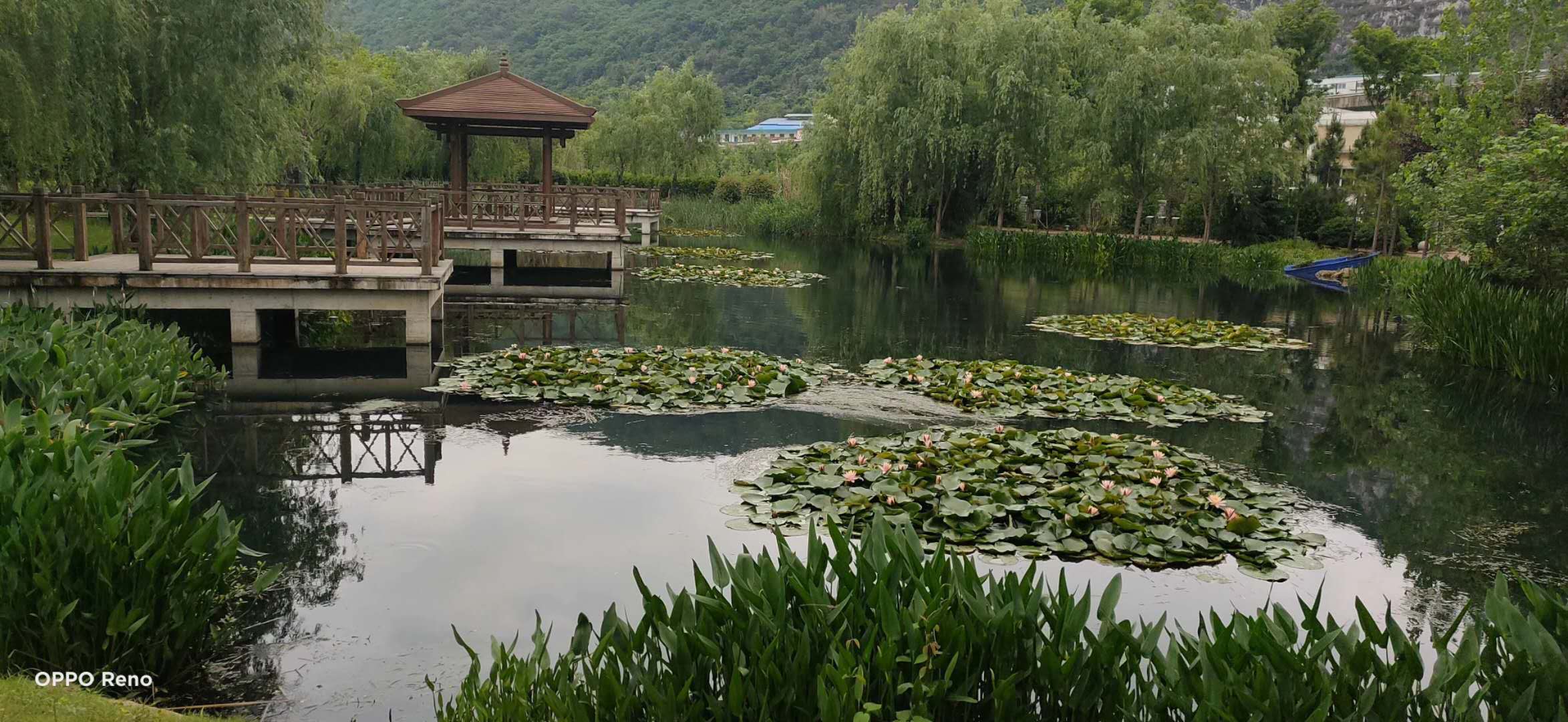 人工生态浮床,生态浮床技术,浮岛种植设备,水上种植设备,生态装配式浮床,水上浮床,植物浮床,水面浮床,湖南八曲河环保科技有限公司