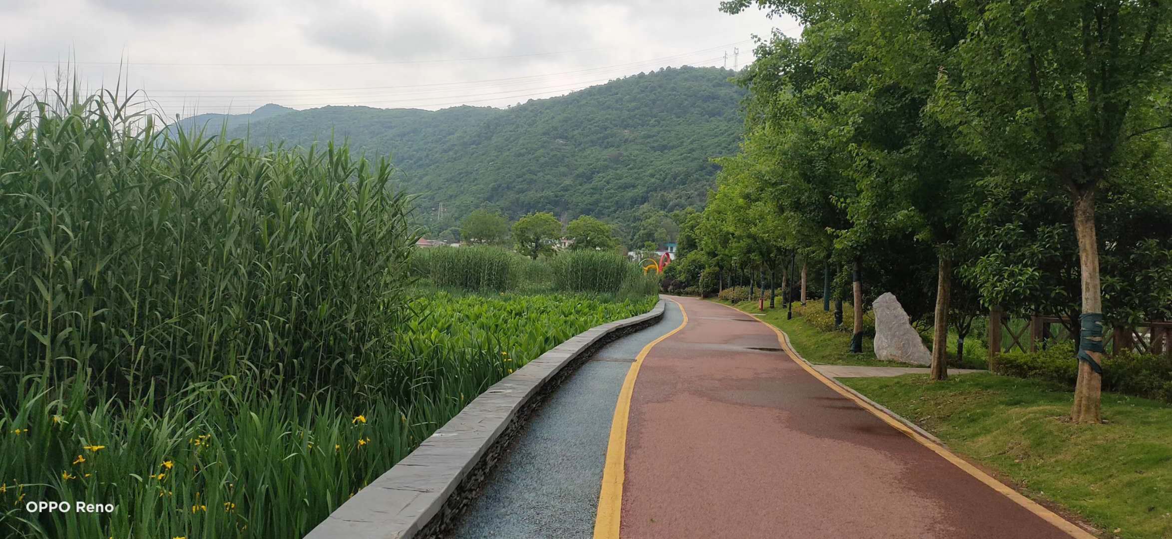 人工生态浮床,生态浮床技术,浮岛种植设备,水上种植设备,生态装配式浮床,水上浮床,植物浮床,水面浮床,湖南八曲河环保科技有限公司