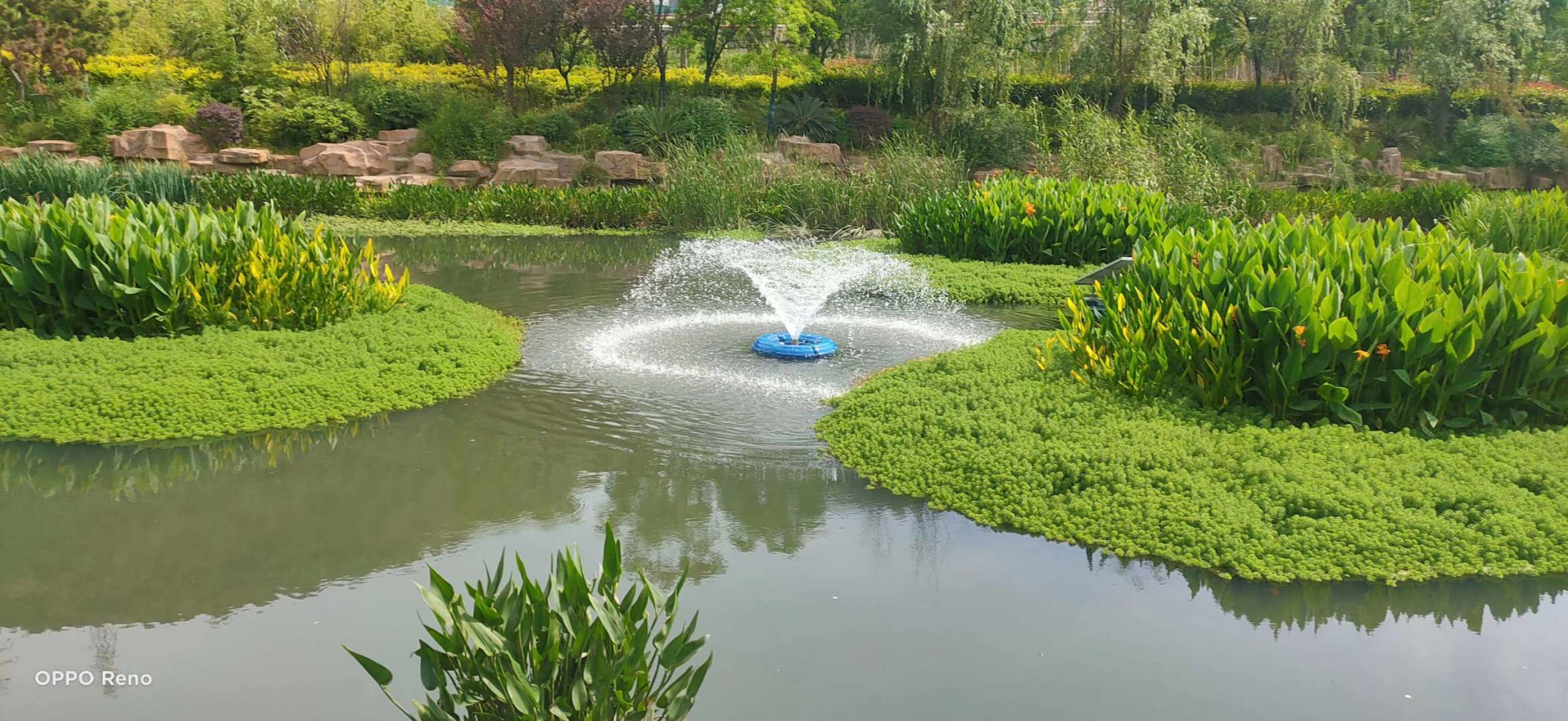 人工生态浮床,生态浮床技术,浮岛种植设备,水上种植设备,生态装配式浮床,水上浮床,植物浮床,水面浮床,湖南八曲河环保科技有限公司