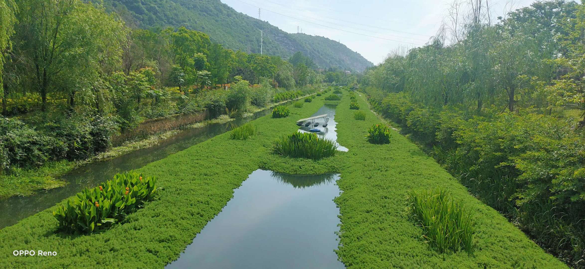 人工生态浮床,生态浮床技术,浮岛种植设备,水上种植设备,生态装配式浮床,水上浮床,植物浮床,水面浮床,湖南八曲河环保科技有限公司